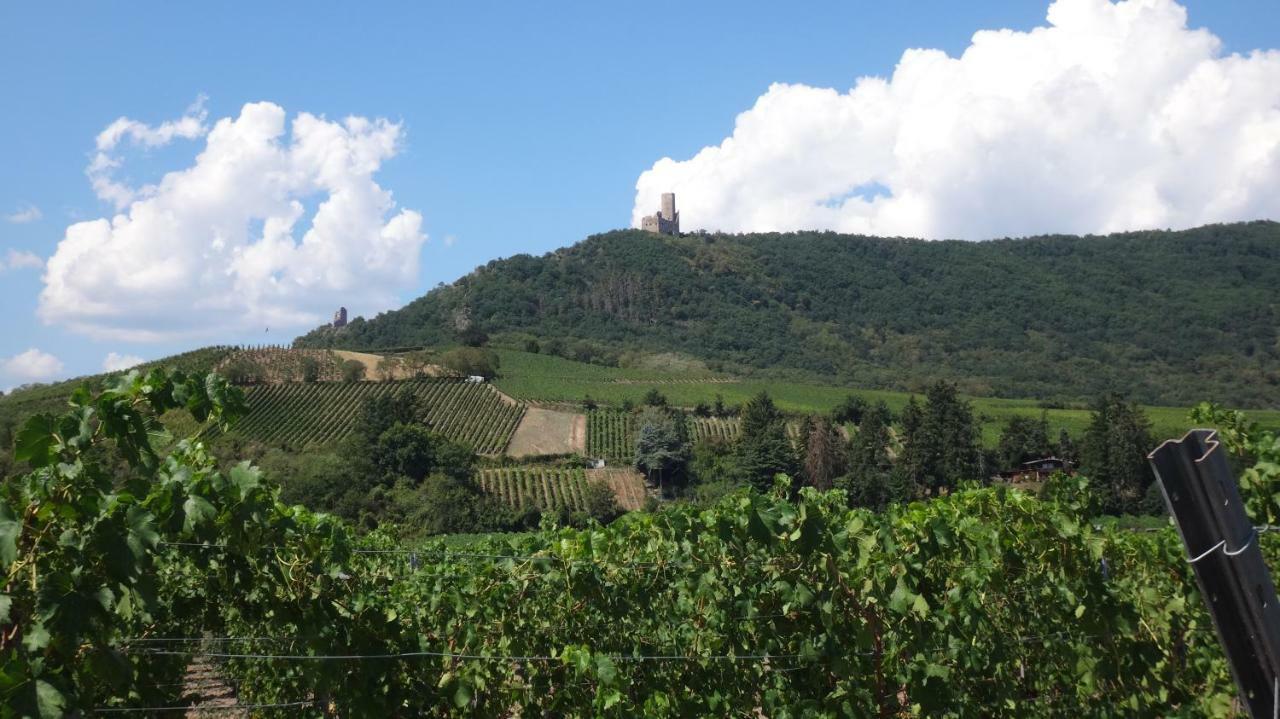 Gite Le Petit Moulin Rosenwiller Exterior photo