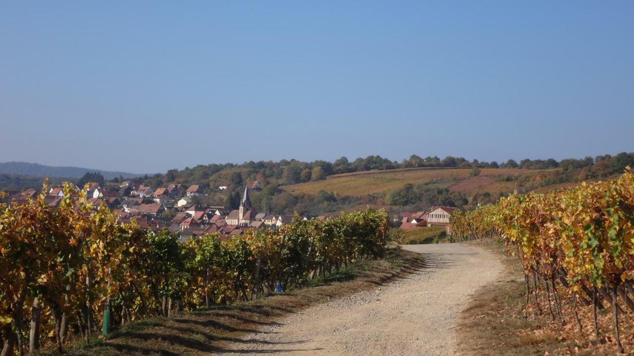 Gite Le Petit Moulin Rosenwiller Exterior photo